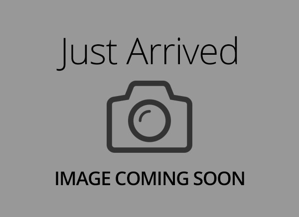 French Bulldog – 20449