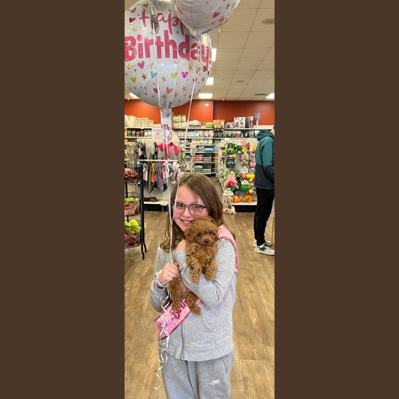 A Birthday to Remember: Petland Fairfield Surprises Young Girl with a New Best Friend
