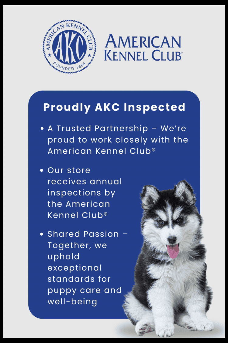 Petland promotion