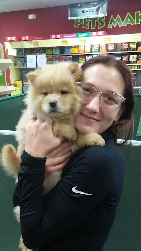 Petland Fairfield puppy and pet store photo
