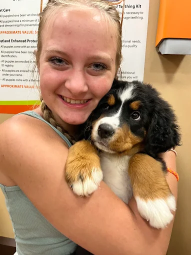 Petland Fairfield puppy and pet store photo
